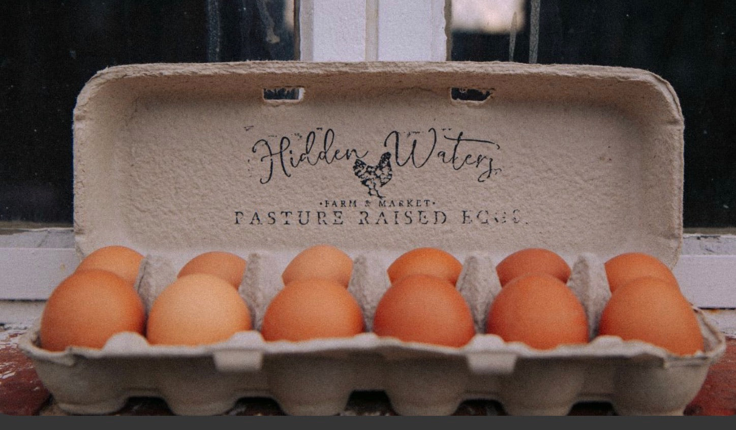Egg Club *** DOES NOT SHIP***