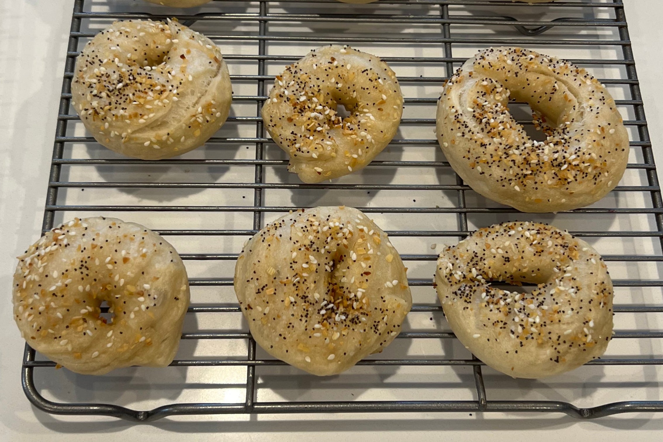 Sourdough Bread Pre-order - (6) MINI BAGELS ***Does Not Ship***