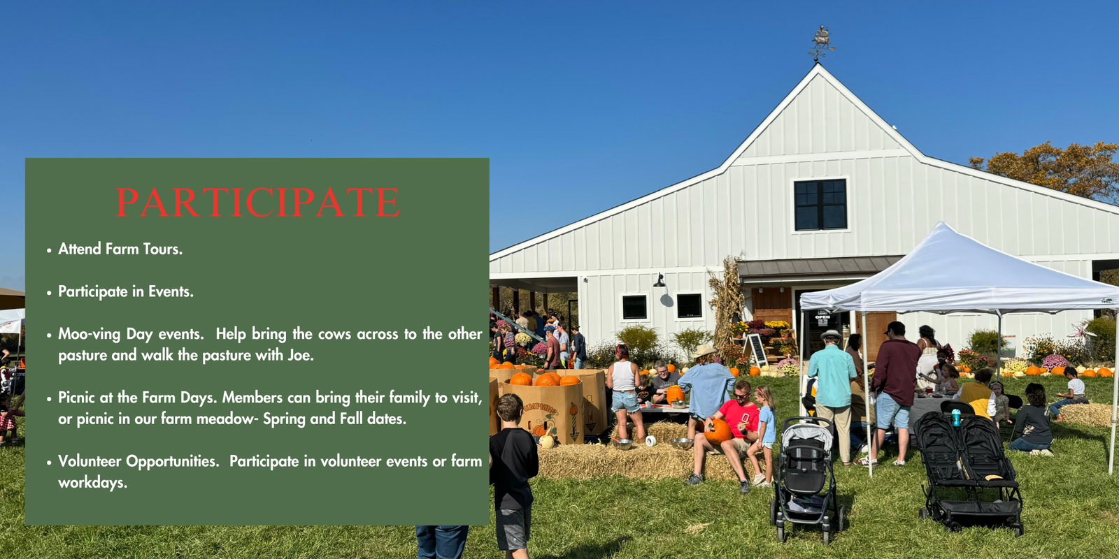 Hidden Waters Farm photo 27