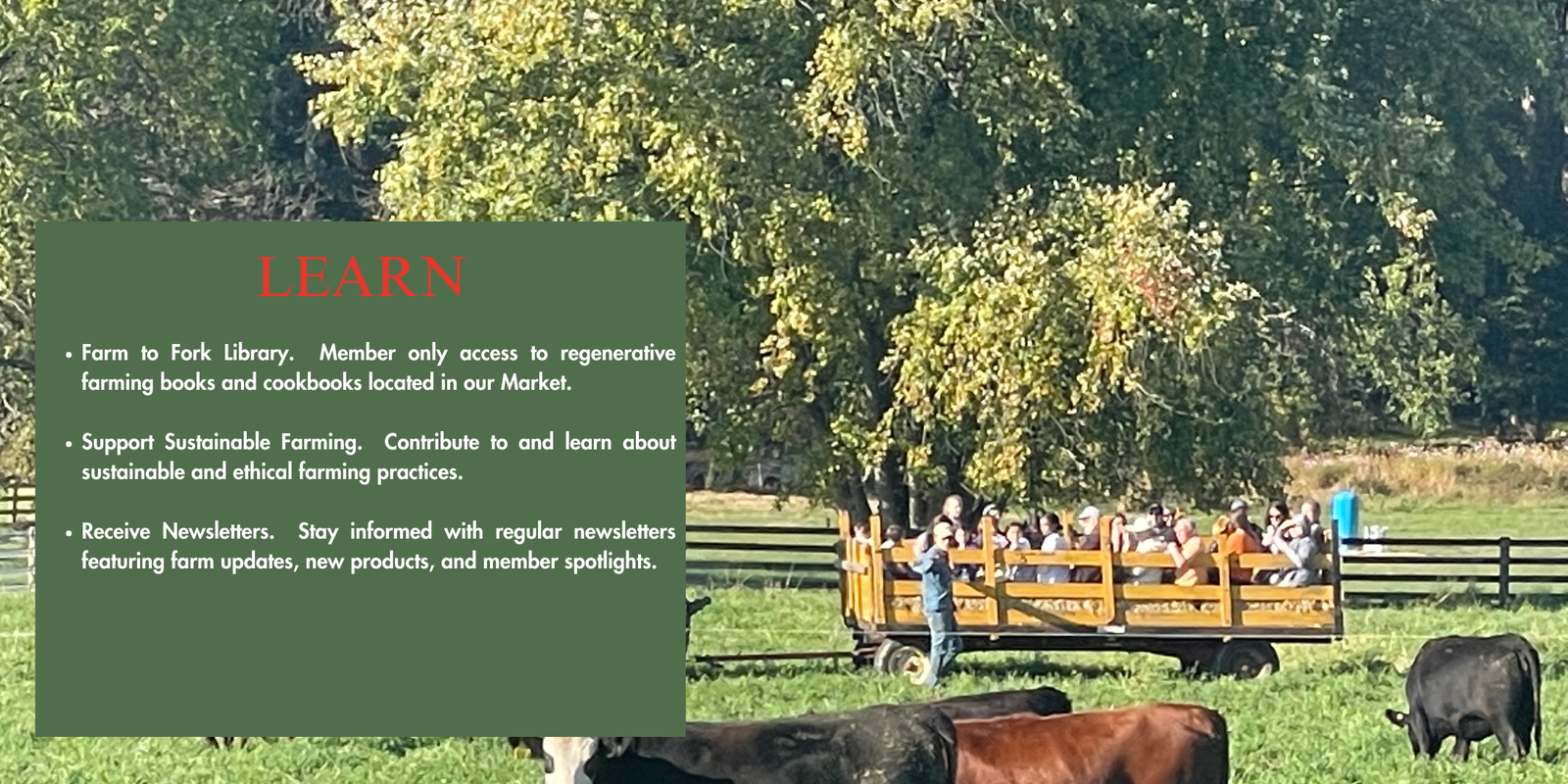 Hidden Waters Farm photo 25