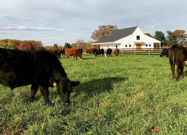 Hidden Waters Farm photo 7