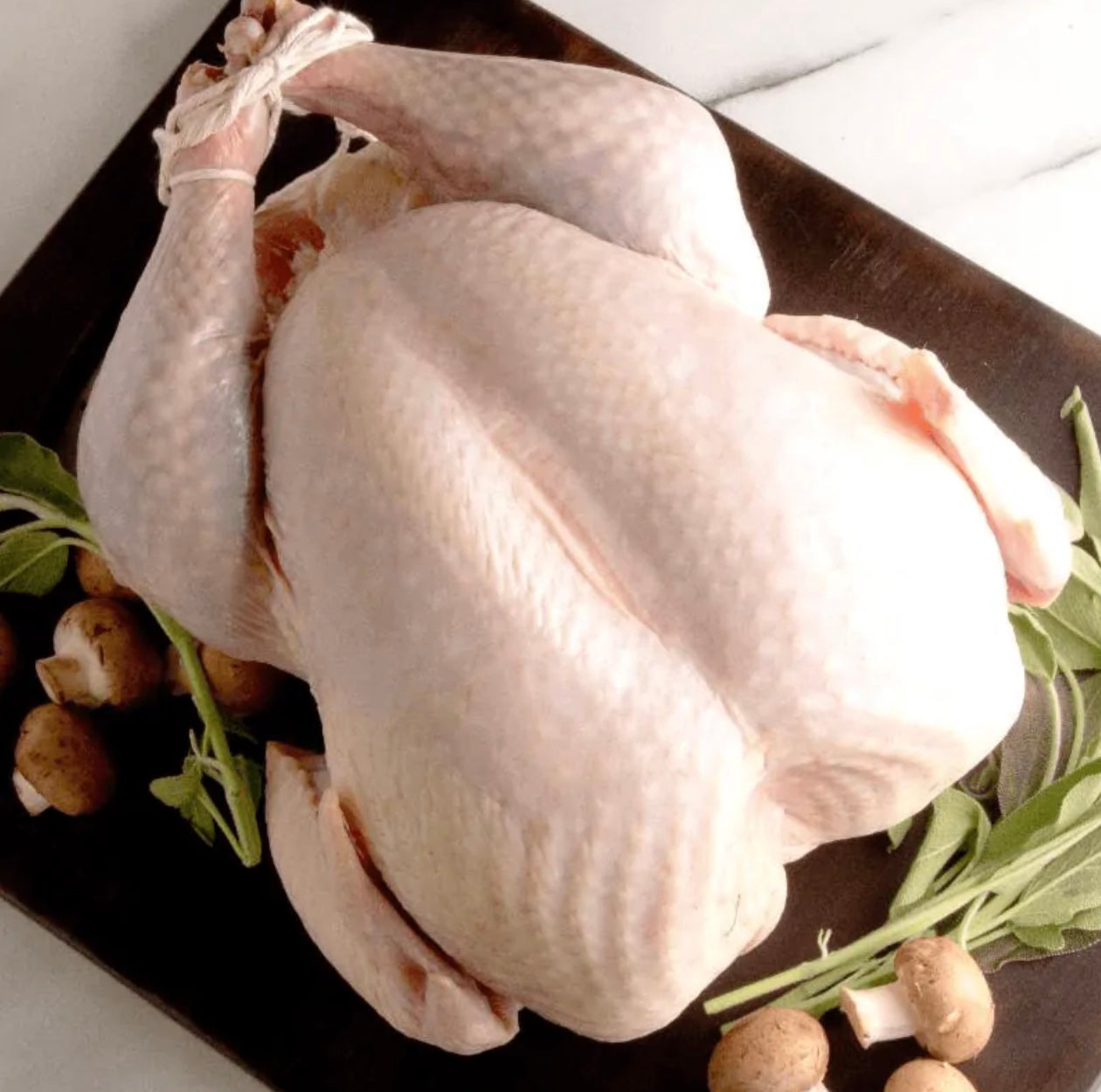 Fresh Turkey Deposit