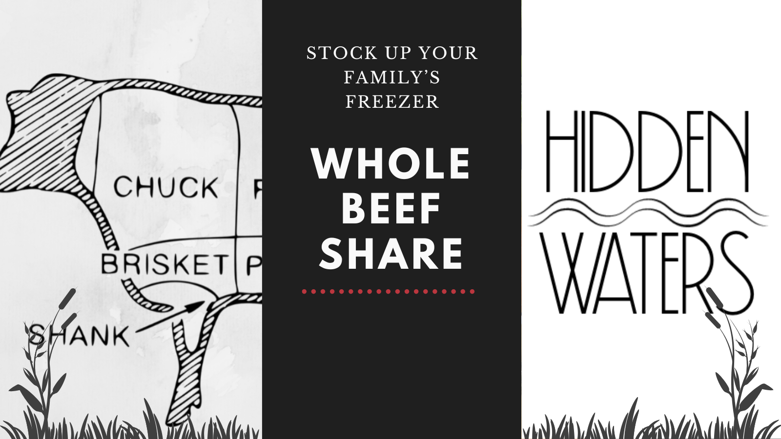 Grass Fed Whole Cow