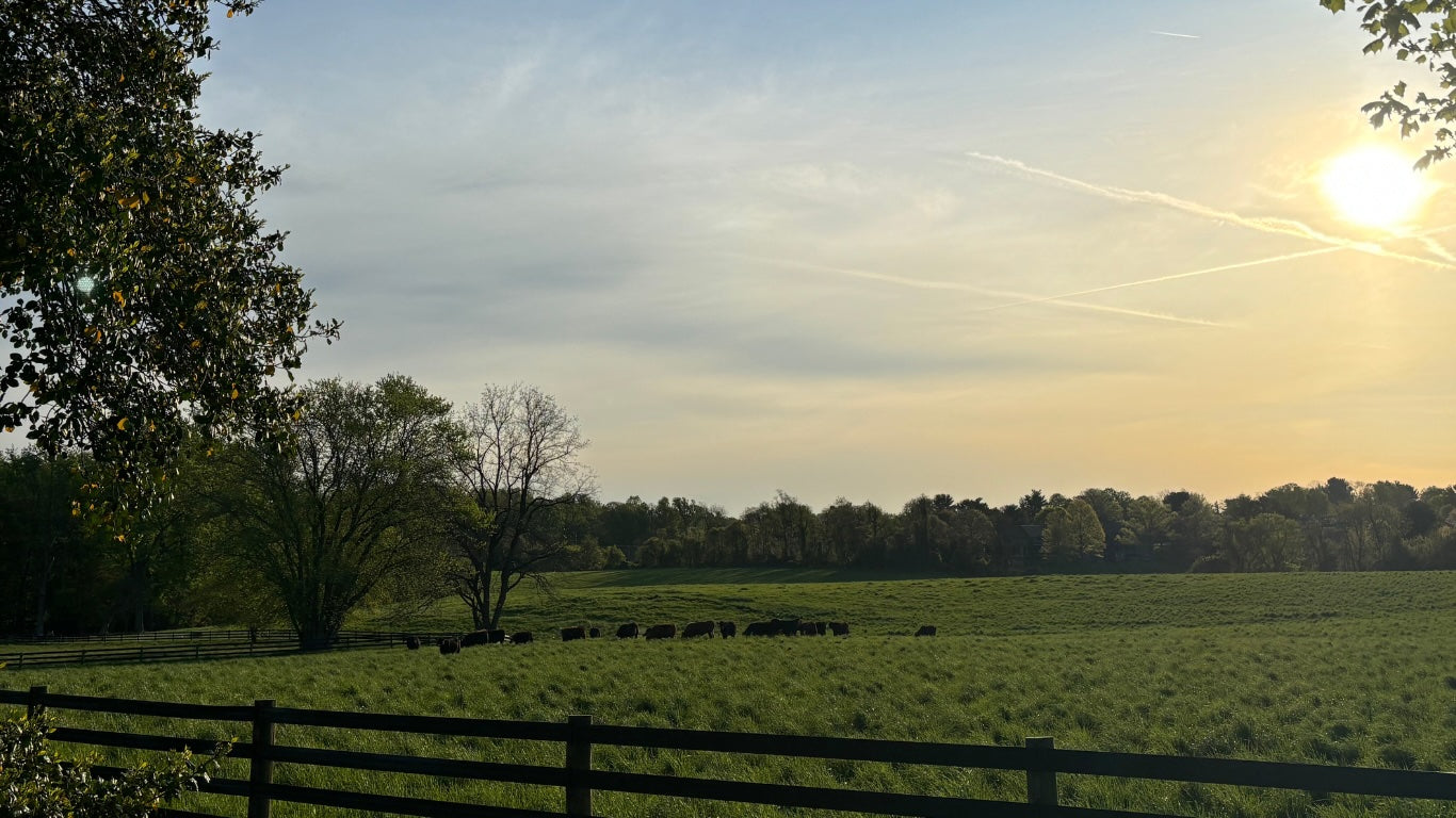 Hidden Waters Farm photo 13