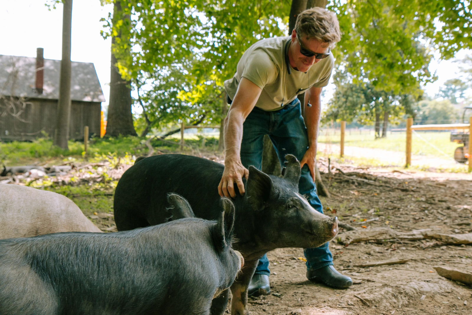 Hidden Waters Farm photo 14