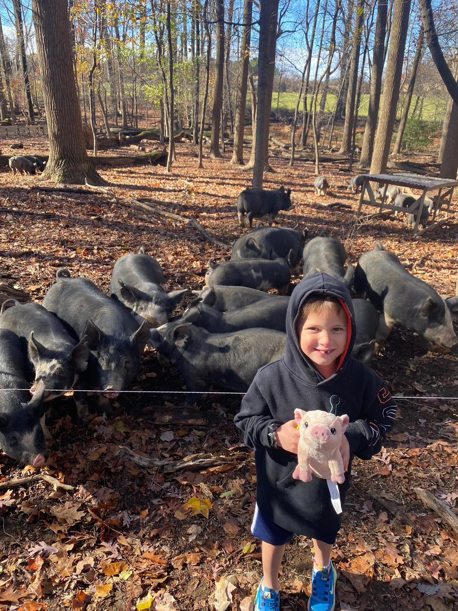 About Hidden Waters Farm
